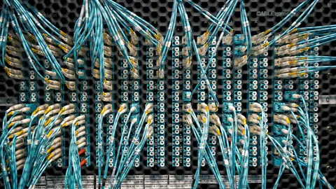 化学物質評価研究機構（CERI）に関連するイメージ写真